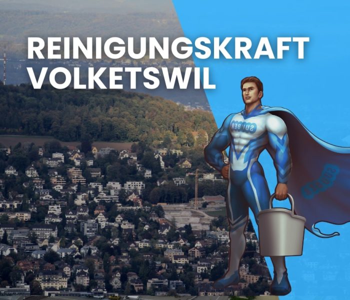 Putzfrau Volketswil