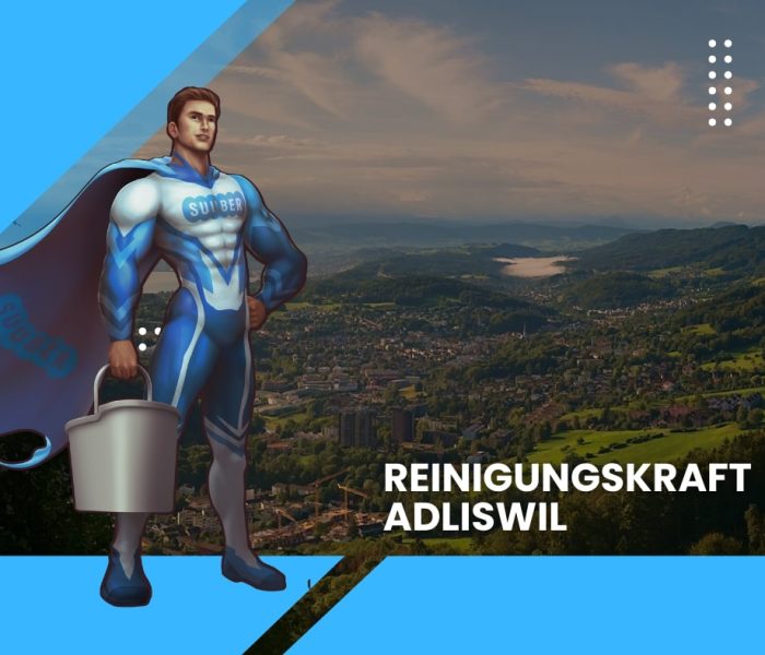 Putzfrau Adliswil